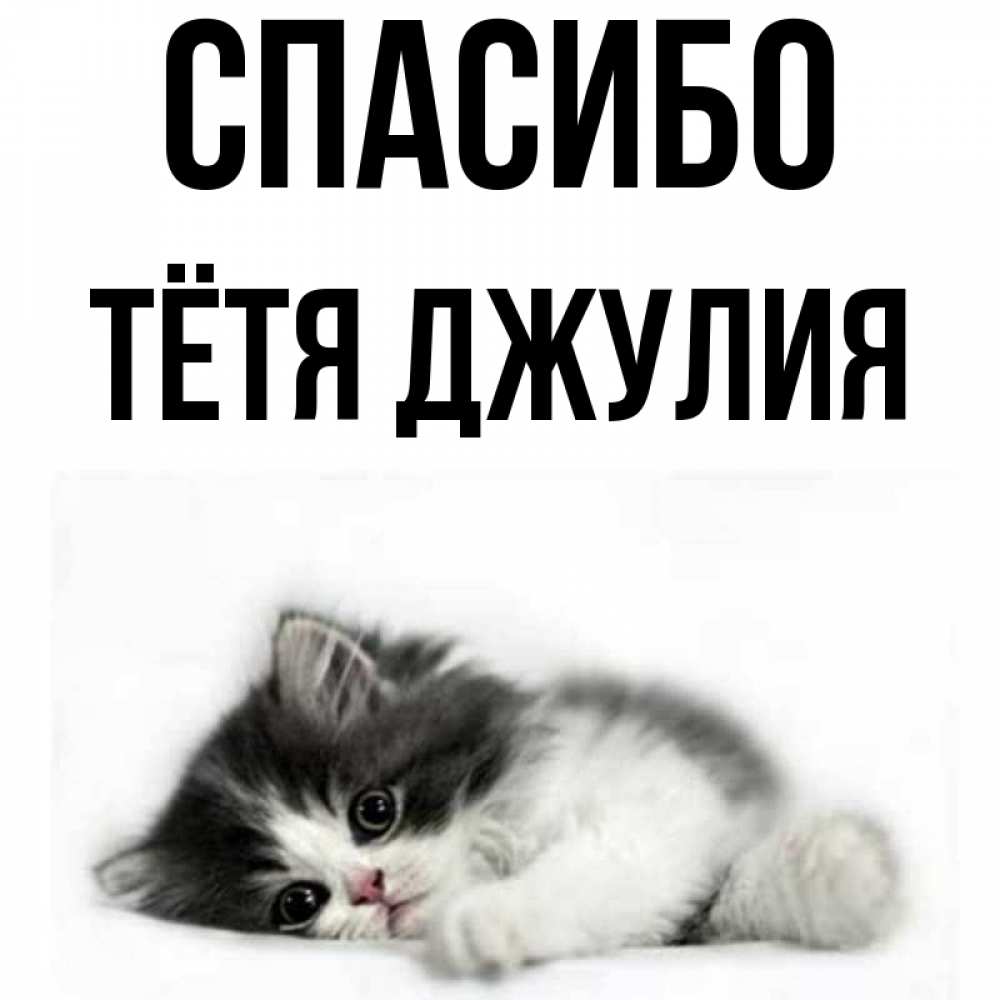 Открытка на каждый день с именем, Тётя-Джулия Спасибо черный и белый кот Прикольная открытка с пожеланием онлайн скачать бесплатно 
