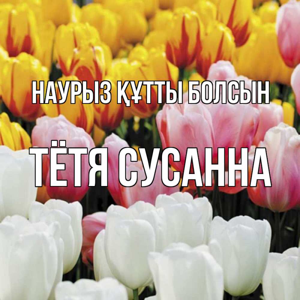 Открытка на каждый день с именем, Тётя-Сусанна Наурыз құтты болсын разноцветные цветы Прикольная открытка с пожеланием онлайн скачать бесплатно 
