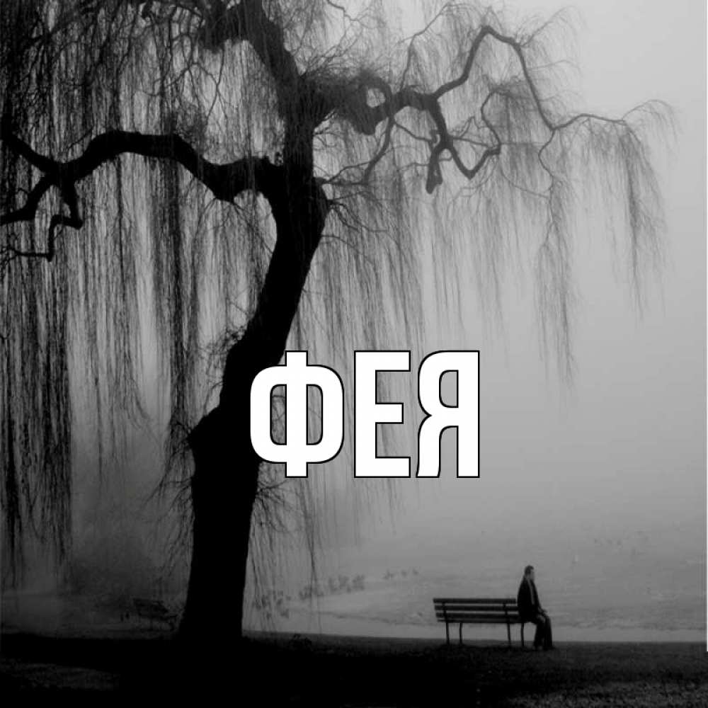 Открытка на каждый день с именем, Фея Главная висящие ветки дерева и лавочка под деревом Прикольная открытка с пожеланием онлайн скачать бесплатно 