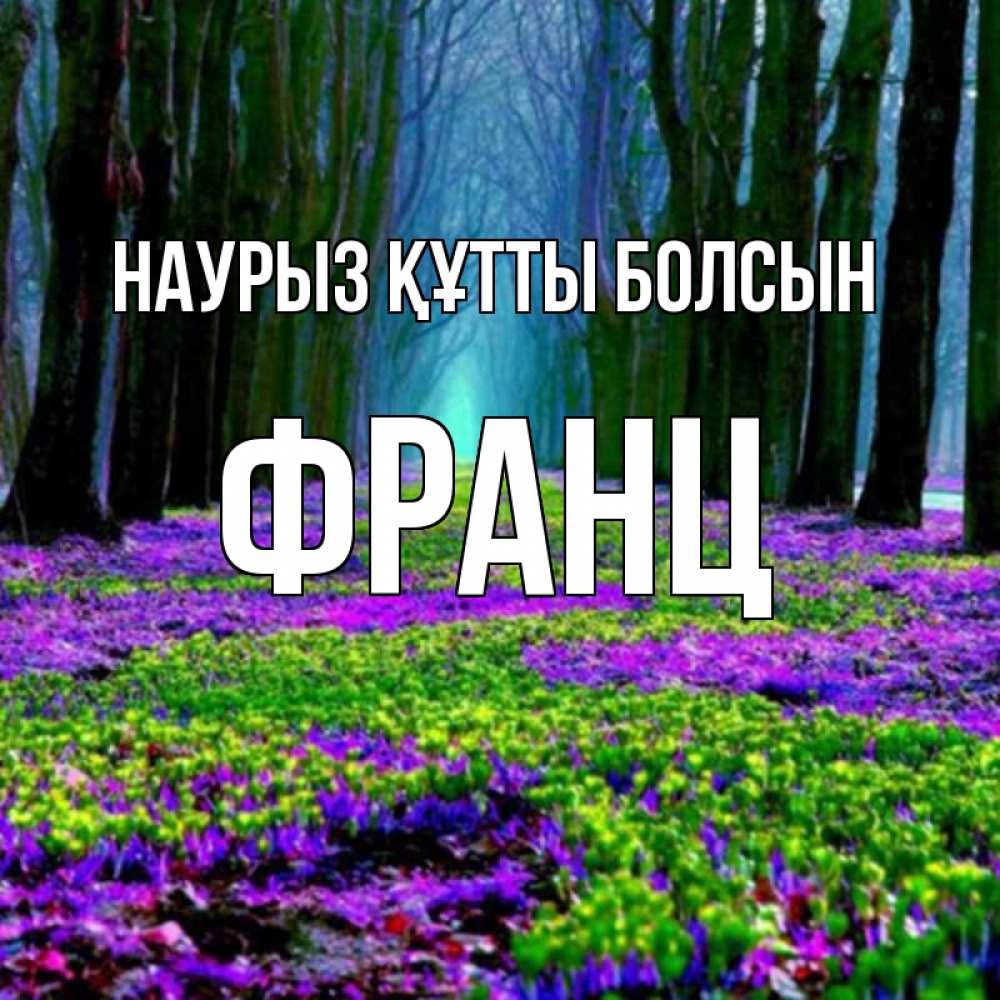 Открытка на каждый день с именем, Франц Наурыз құтты болсын фиолетовые цветы в лесу 1 Прикольная открытка с пожеланием онлайн скачать бесплатно 