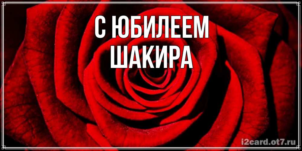 Открытка на каждый день с именем, Шакира С юбилеем алая роза Прикольная открытка с пожеланием онлайн скачать бесплатно 