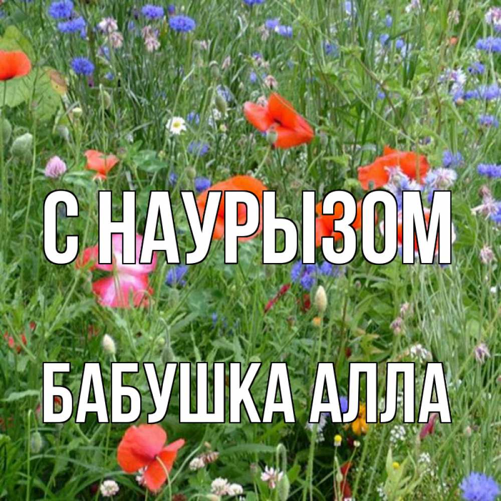Открытка на каждый день с именем, Бабушка-Алла С наурызом праздник весны наурыз супер открытка Прикольная открытка с пожеланием онлайн скачать бесплатно 