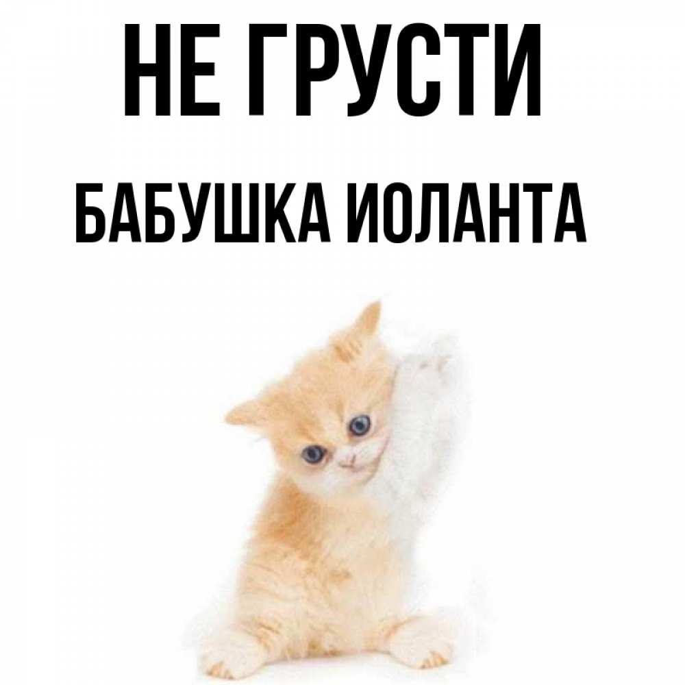 Открытка на каждый день с именем, Бабушка-Иоланта Не грусти просящий кот Прикольная открытка с пожеланием онлайн скачать бесплатно 