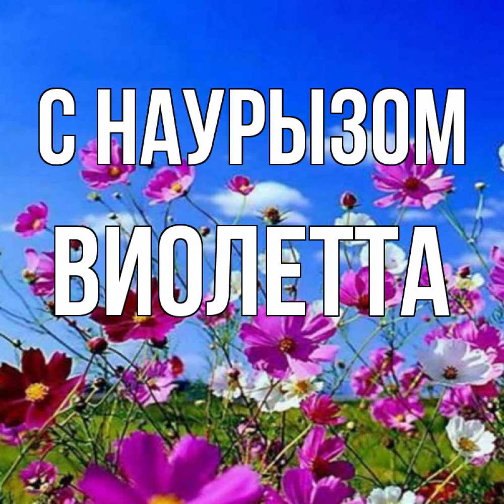 Открытка на каждый день с именем, Виолетта С наурызом цветы Прикольная открытка с пожеланием онлайн скачать бесплатно 
