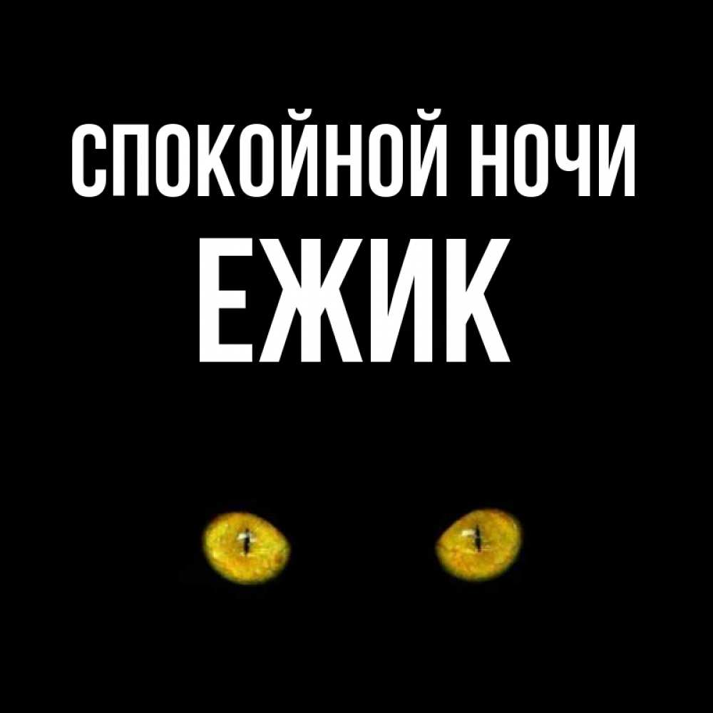 Открытка на каждый день с именем, Ежик Спокойной ночи сладких снов бесстрашный мой дружочек Прикольная открытка с пожеланием онлайн скачать бесплатно 