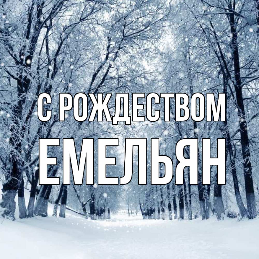 Открытка на каждый день с именем, Емельян С рождеством снег, лес, парк Прикольная открытка с пожеланием онлайн скачать бесплатно 
