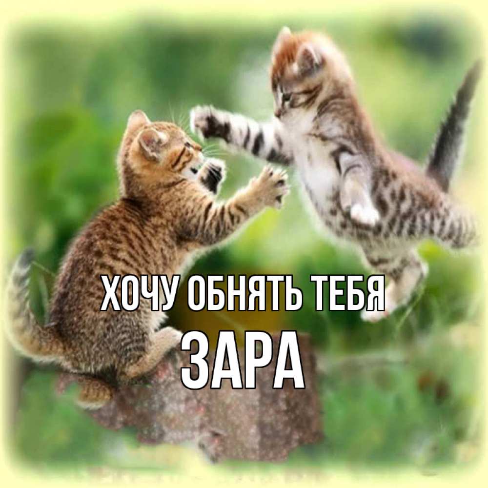 Открытка на каждый день с именем, Зара Хочу обнять тебя игры котят Прикольная открытка с пожеланием онлайн скачать бесплатно 