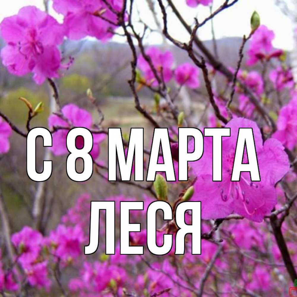 Открытка на каждый день с именем, Леся С 8 марта международный женский день Прикольная открытка с пожеланием онлайн скачать бесплатно 