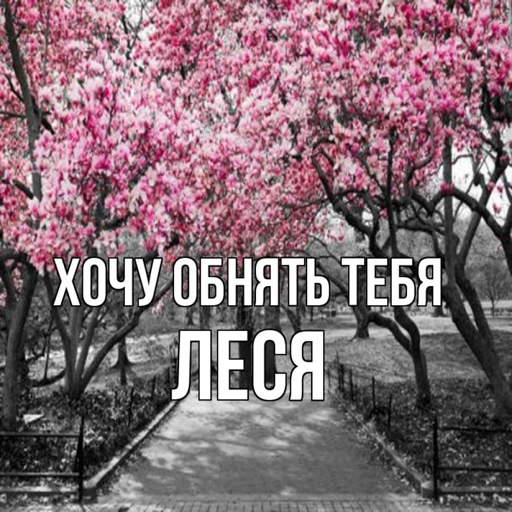 Открытка на каждый день с именем, Леся Хочу обнять тебя обработанное фото Прикольная открытка с пожеланием онлайн скачать бесплатно 