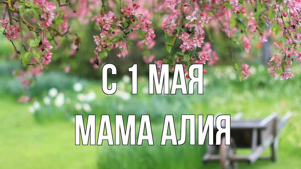 Открытка на каждый день с именем, Мама-Алия С 1 мая С 1 мая Прикольная открытка с пожеланием онлайн скачать бесплатно 