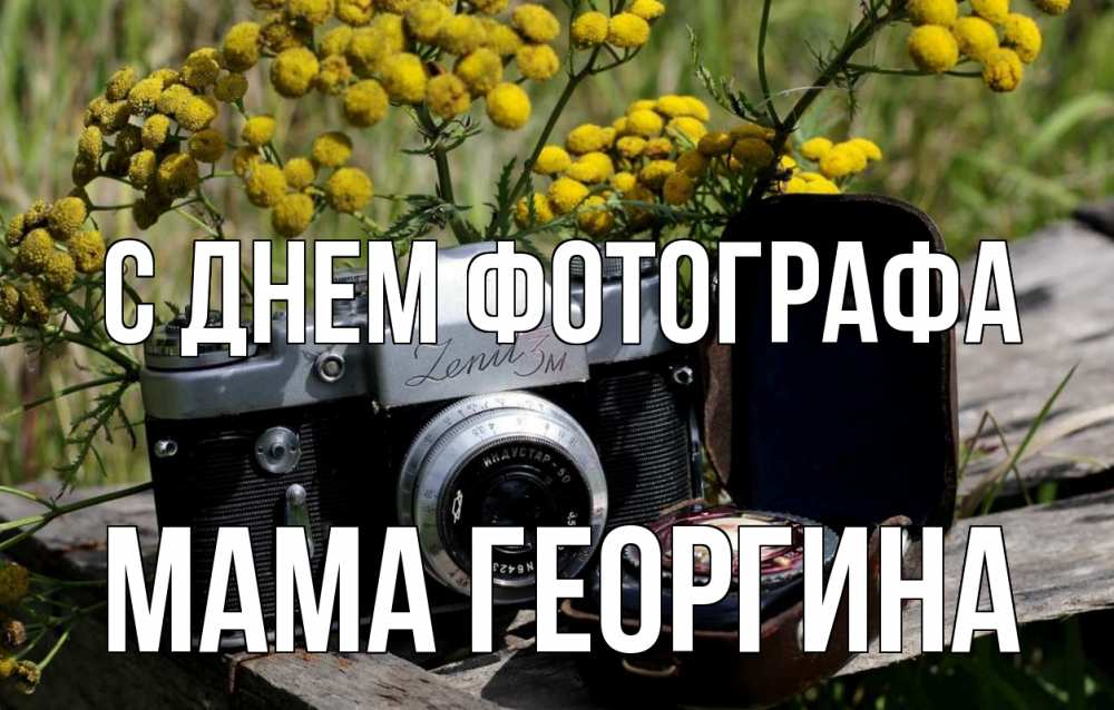 Открытка на каждый день с именем, Мама-Георгина С днем фотографа с днем фотографа Прикольная открытка с пожеланием онлайн скачать бесплатно 