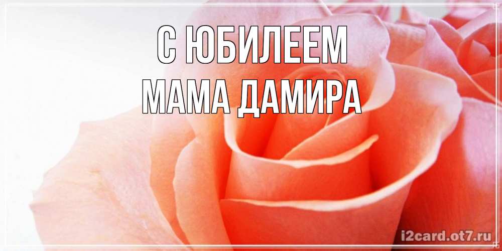 Открытка на каждый день с именем, Мама-Дамира С юбилеем розы для поздравления с днем рождения Прикольная открытка с пожеланием онлайн скачать бесплатно 