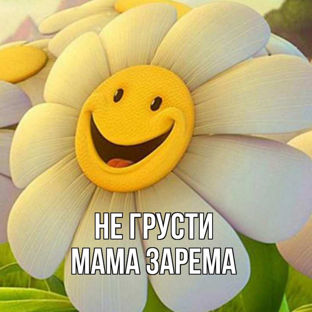 Открытка на каждый день с именем, Мама-Зарема Не грусти огромная улыбающаяся ромашуща Прикольная открытка с пожеланием онлайн скачать бесплатно 