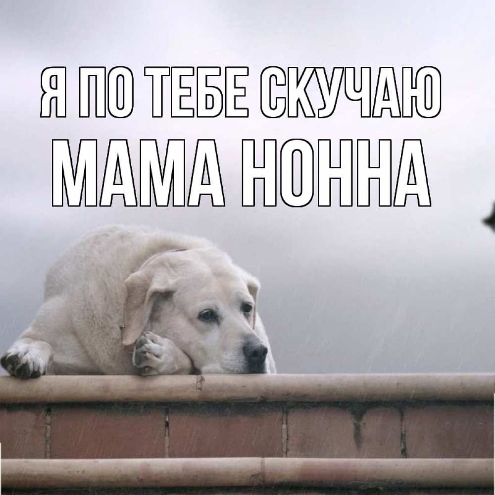 Открытка на каждый день с именем, Мама-Нонна Я по тебе скучаю ждет Прикольная открытка с пожеланием онлайн скачать бесплатно 