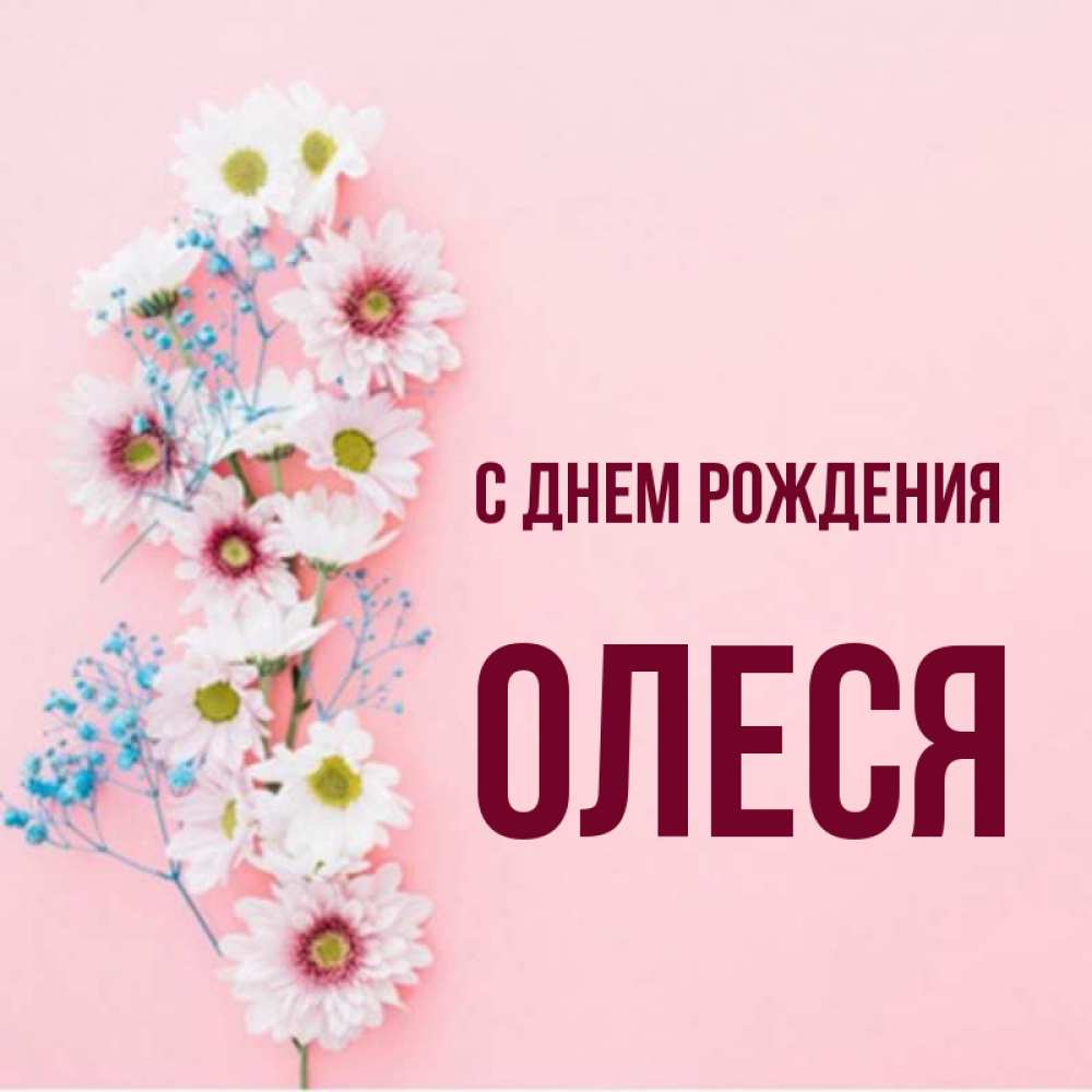Открытка на каждый день с именем, ОЛЕСЯ С днем рождения Родная моя с днем рождения тебя картинка с цветами белыми и голубыми Прикольная открытка с пожеланием онлайн скачать бесплатно 