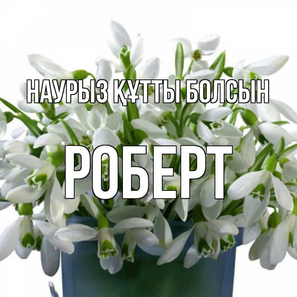 Открытка на каждый день с именем, Роберт Наурыз құтты болсын цветы к наурызу Прикольная открытка с пожеланием онлайн скачать бесплатно 