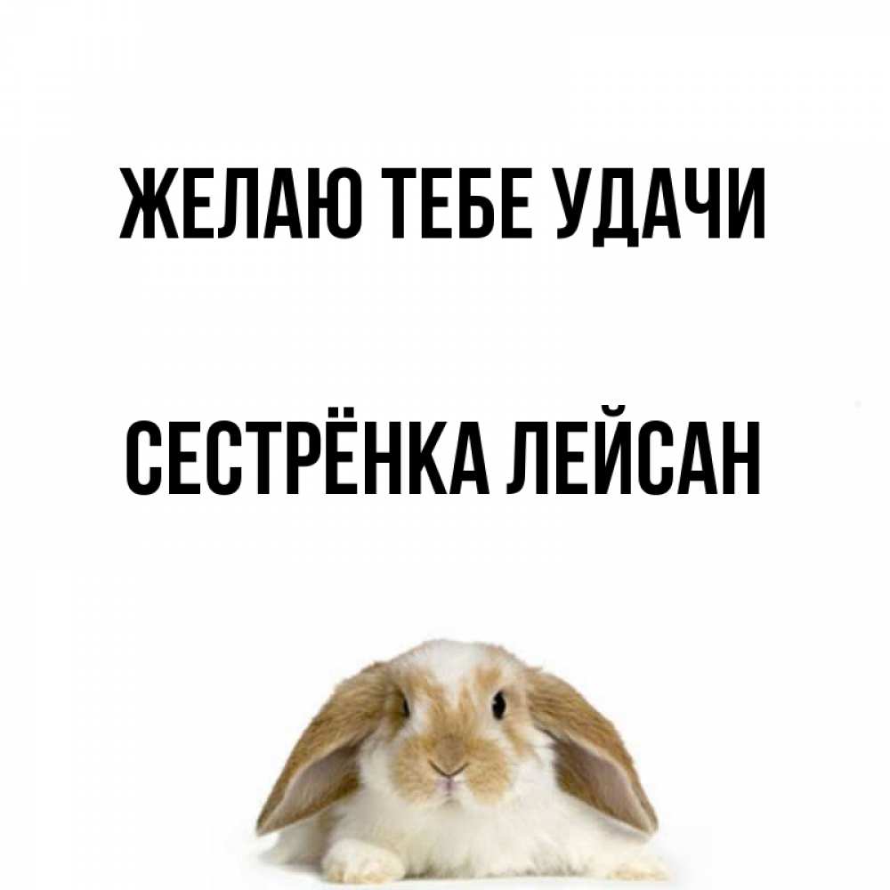 Открытка на каждый день с именем, Сестрёнка-Лейсан Желаю тебе удачи открытки с произвольным текстом который можно вставить в открытку и создать ее самостоятельно бесплатно онлайн Прикольная открытка с пожеланием онлайн скачать бесплатно 