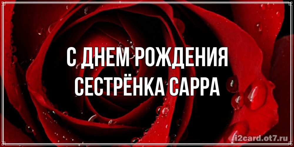 Открытка на каждый день с именем, Сестрёнка-Сарра С днем рождения крупная бордовая роза Прикольная открытка с пожеланием онлайн скачать бесплатно 