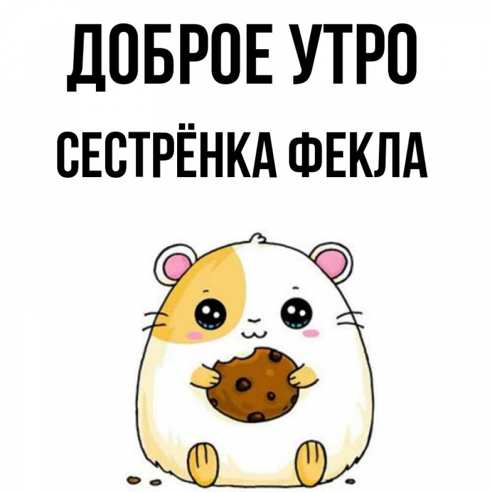 Открытка на каждый день с именем, Сестрёнка-Фекла Доброе утро есть печеньку. Утречко Прикольная открытка с пожеланием онлайн скачать бесплатно 