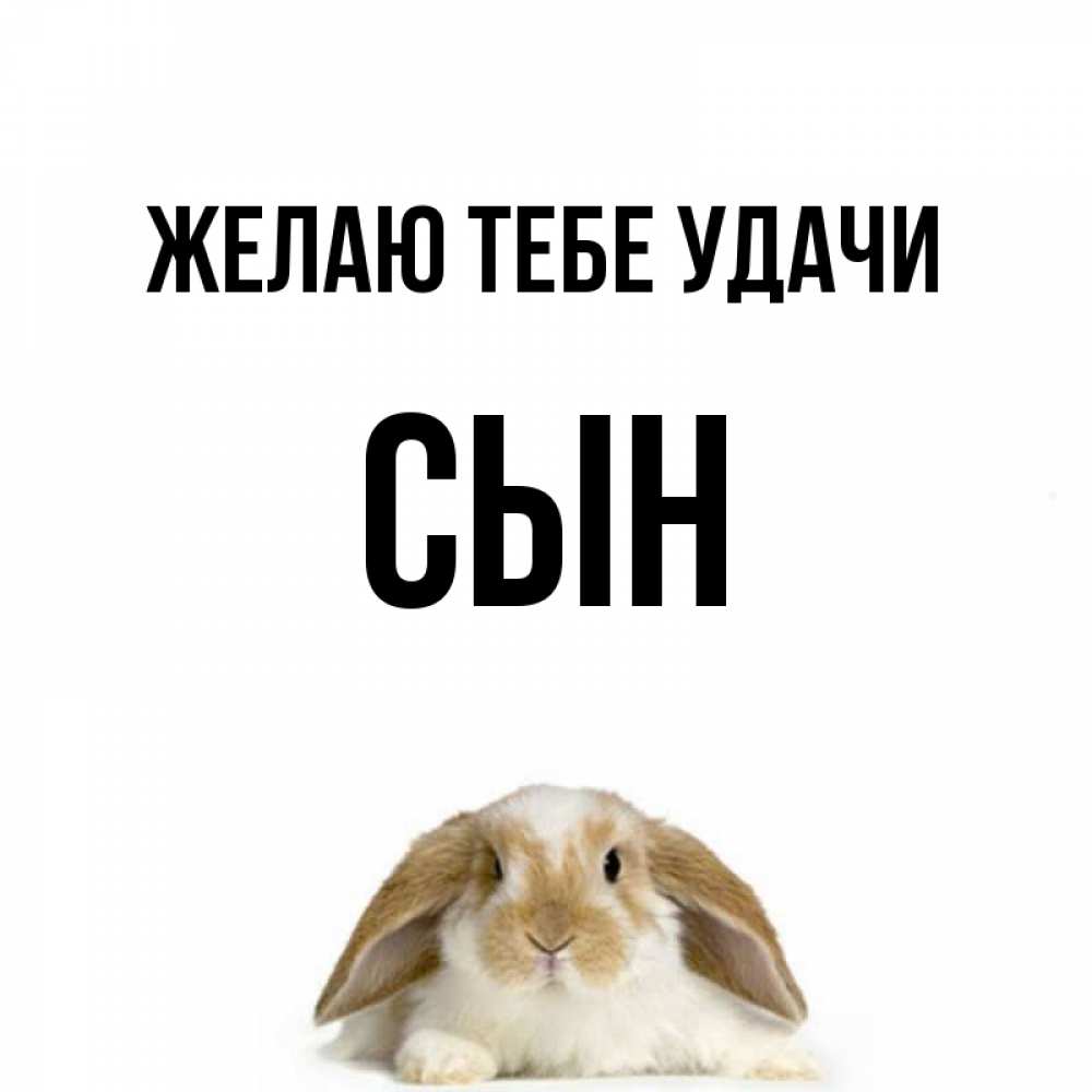 Открытка на каждый день с именем, Сын Желаю тебе удачи открытки с произвольным текстом который можно вставить в открытку и создать ее самостоятельно бесплатно онлайн Прикольная открытка с пожеланием онлайн скачать бесплатно 