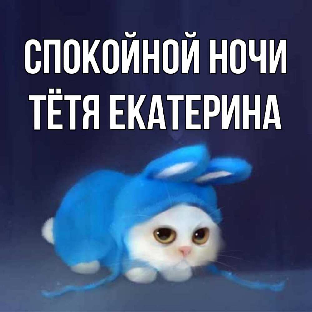 Открытка на каждый день с именем, Тётя-Екатерина Спокойной ночи кот в голубом костюме кролика с ушками Прикольная открытка с пожеланием онлайн скачать бесплатно 
