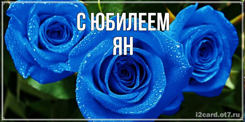 Открытка на каждый день с именем, Ян С юбилеем розы с синим цветом Прикольная открытка с пожеланием онлайн скачать бесплатно 