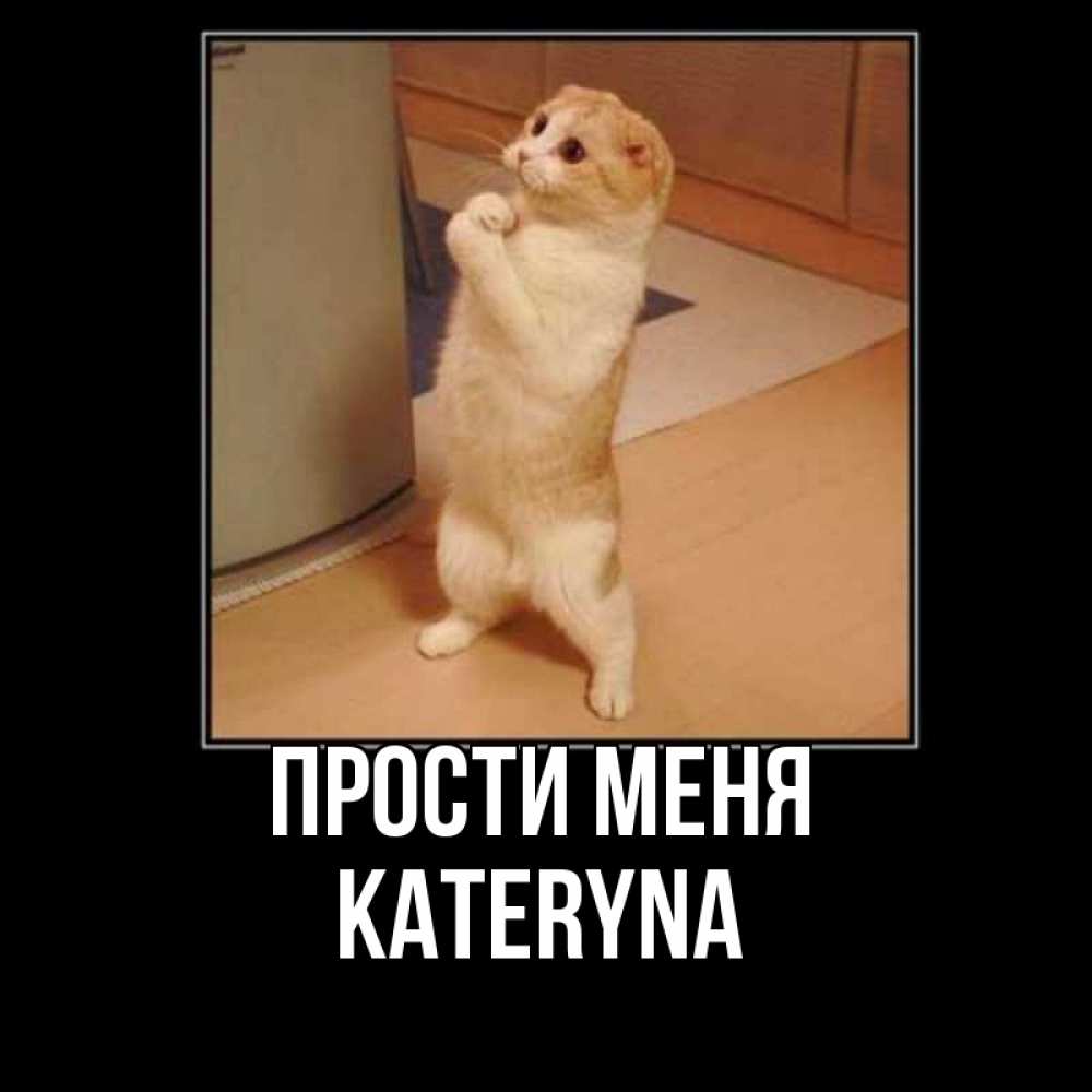 Прошу прощения прикол