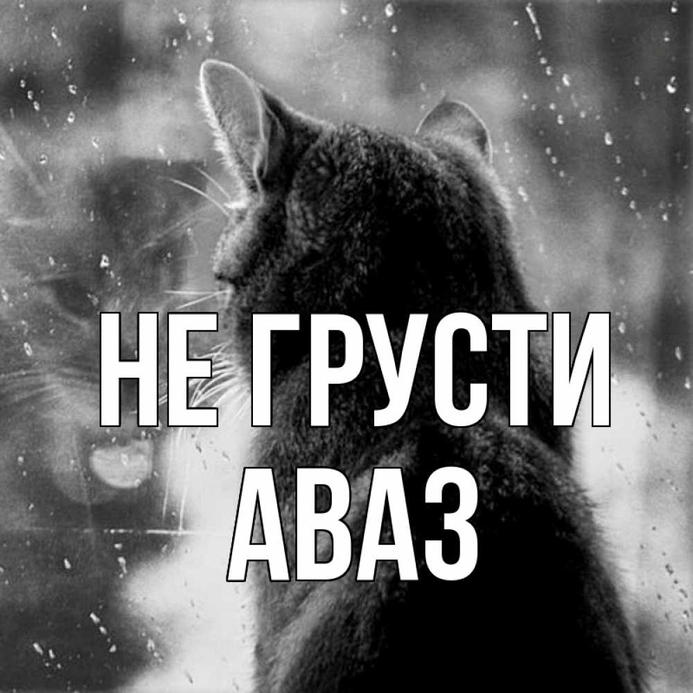 Открытка на каждый день с именем, Аваз Не грусти отражение кота 1 Прикольная открытка с пожеланием онлайн скачать бесплатно 