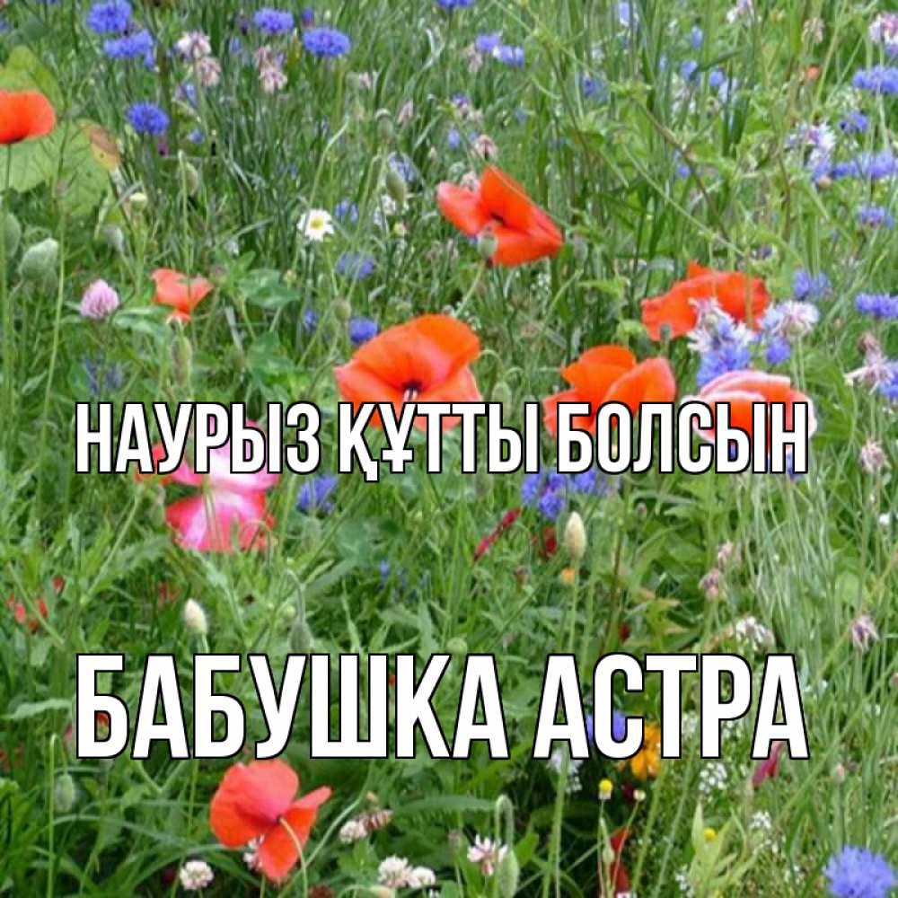 Открытка на каждый день с именем, Бабушка-Астра Наурыз құтты болсын наурыз  4 Прикольная открытка с пожеланием онлайн скачать бесплатно 