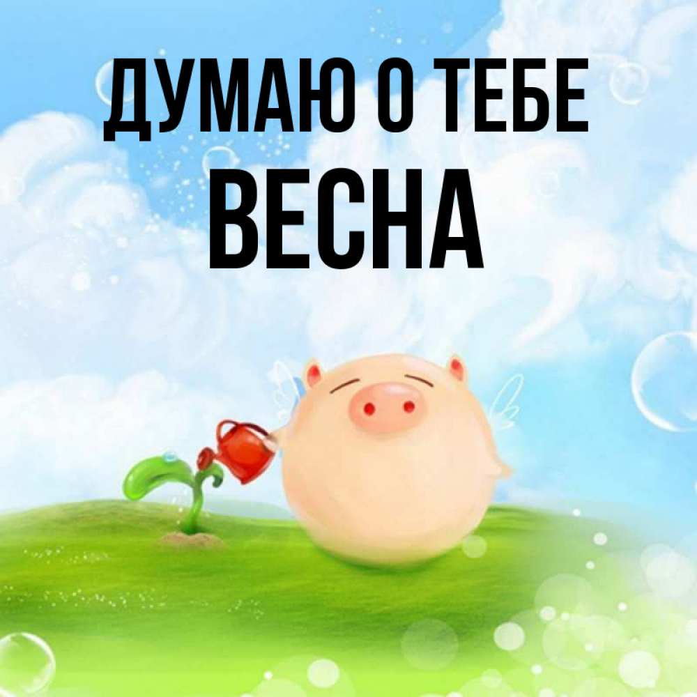 Открытка на каждый день с именем, Весна Думаю о тебе позитивная свинюшка Прикольная открытка с пожеланием онлайн скачать бесплатно 