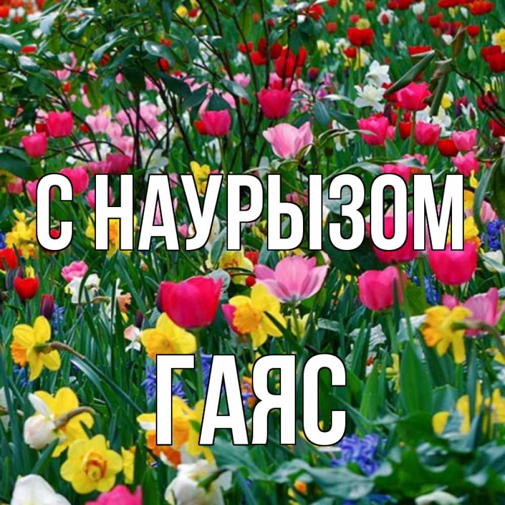 Открытка на каждый день с именем, Гаяс С наурызом с наурызом праздником весны поздравления для женщины Прикольная открытка с пожеланием онлайн скачать бесплатно 