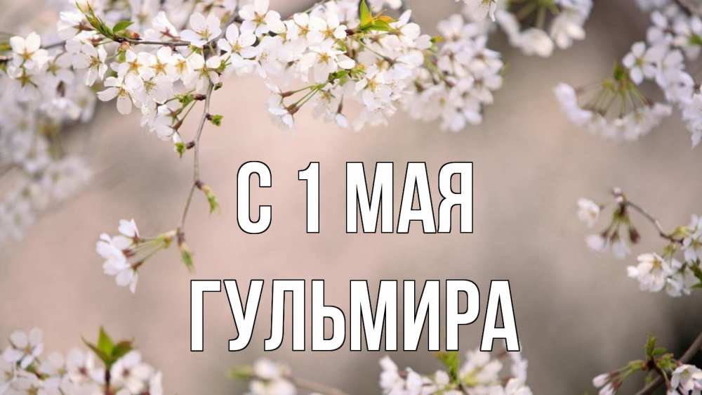 Открытка на каждый день с именем, Гульмира С 1 мая С 1 мая Прикольная открытка с пожеланием онлайн скачать бесплатно 