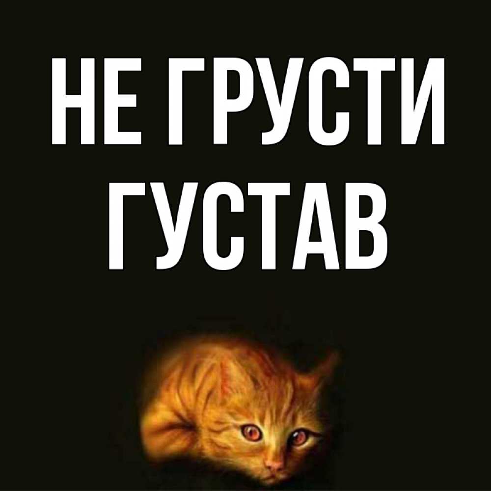 Открытка на каждый день с именем, Густав Не грусти лежащий кот в темноте Прикольная открытка с пожеланием онлайн скачать бесплатно 