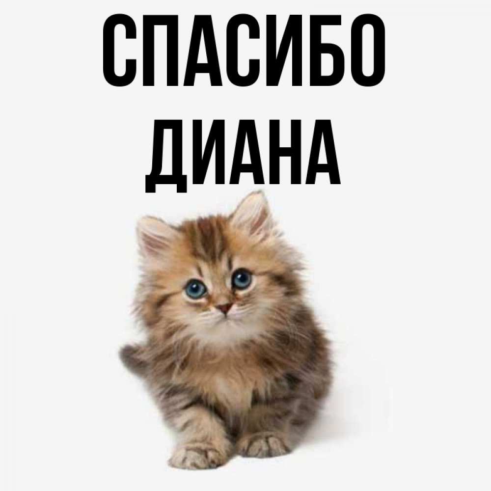 Диана Картинки С Именем