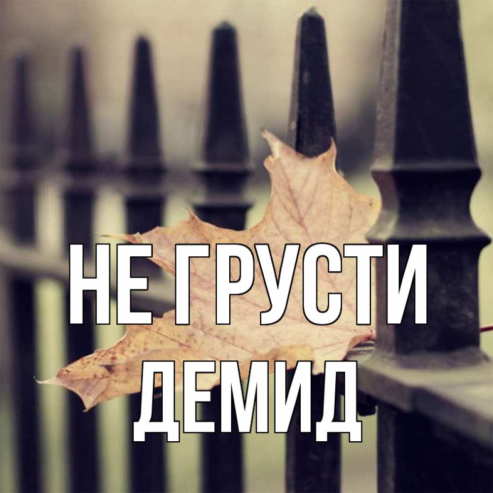 Открытка на каждый день с именем, Демид Не грусти лист клена Прикольная открытка с пожеланием онлайн скачать бесплатно 