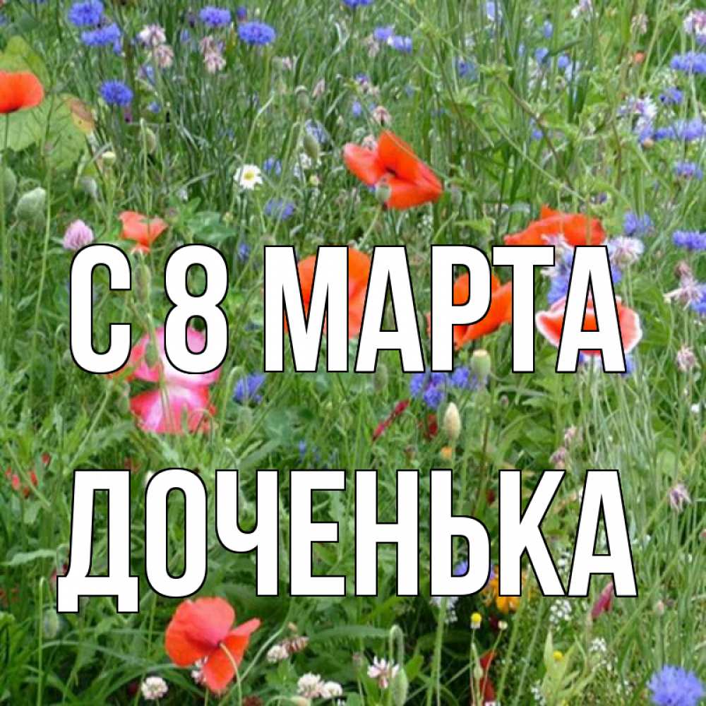 Открытка на каждый день с именем, Доченька С 8 МАРТА международный женский день 4 Прикольная открытка с пожеланием онлайн скачать бесплатно 