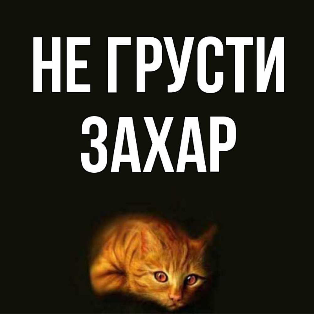 Открытка на каждый день с именем, Захар Не грусти лежащий кот в темноте Прикольная открытка с пожеланием онлайн скачать бесплатно 
