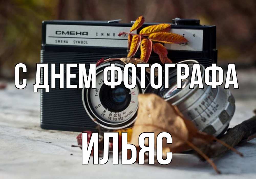 Открытка на каждый день с именем, Ильяс С днем фотографа с днем фотографа Прикольная открытка с пожеланием онлайн скачать бесплатно 
