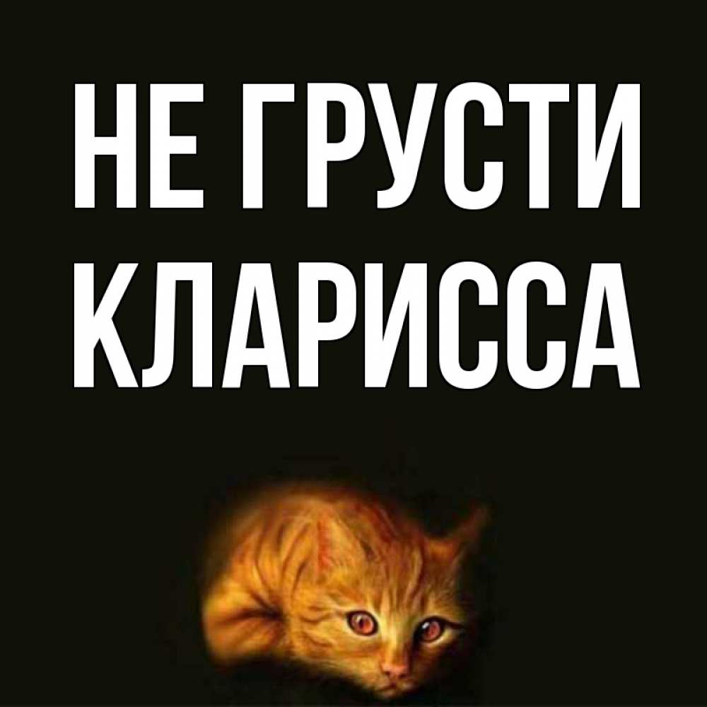 Открытка на каждый день с именем, Кларисса Не грусти лежащий кот в темноте Прикольная открытка с пожеланием онлайн скачать бесплатно 