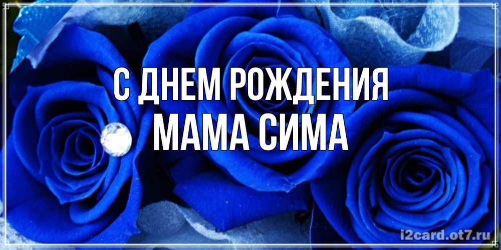 Открытка на каждый день с именем, Мама-Сима С днем рождения синие розы в росе Прикольная открытка с пожеланием онлайн скачать бесплатно 