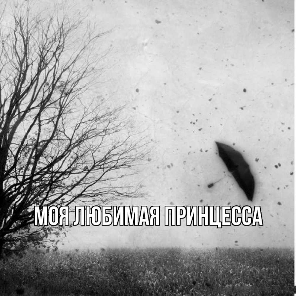 Открытка на каждый день с именем, Моя-Любимая-Принцесса Главная зонт летит Прикольная открытка с пожеланием онлайн скачать бесплатно 
