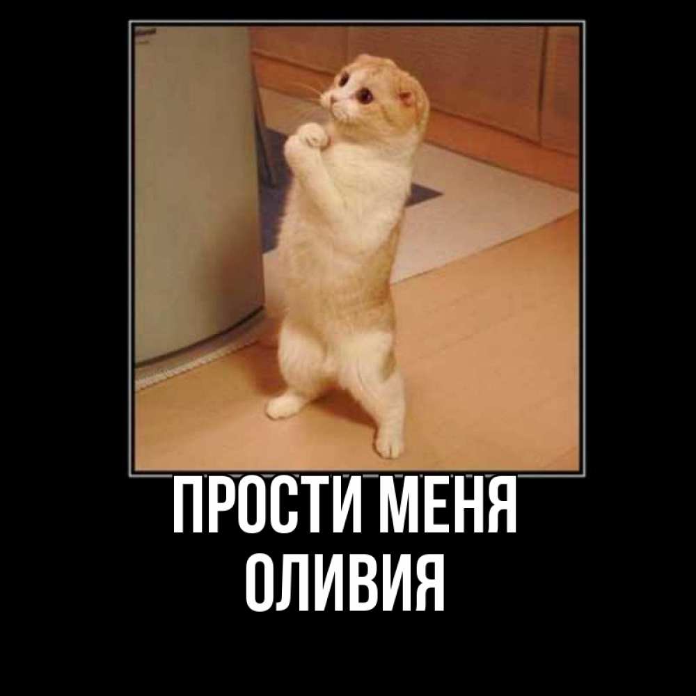 Открытка на каждый день с именем, Оливия Прости меня открытка с милым несчастным котиком просящим прощения Прикольная открытка с пожеланием онлайн скачать бесплатно 