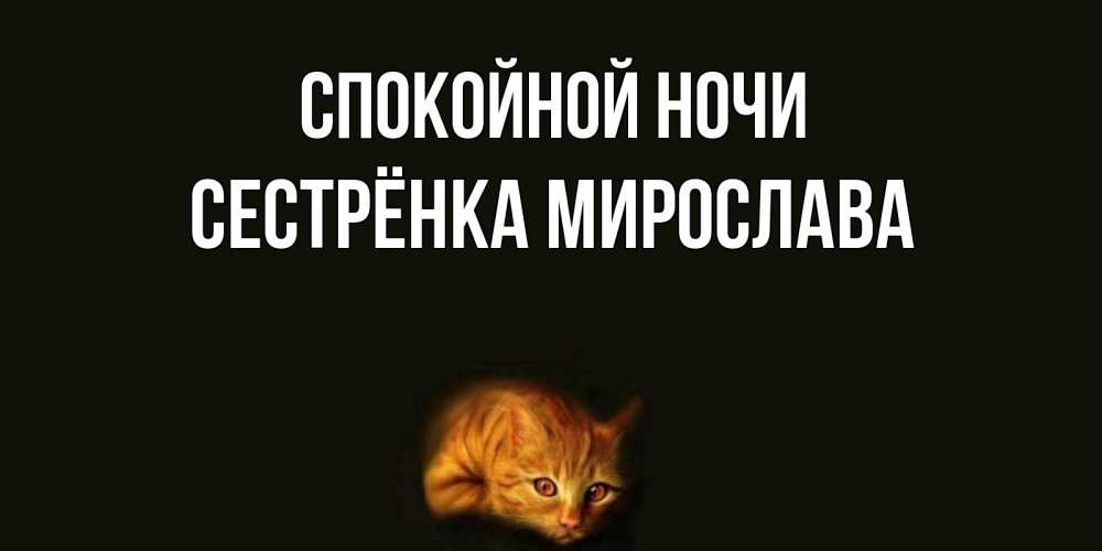 Открытка на каждый день с именем, Сестрёнка-Мирослава Спокойной ночи кот Прикольная открытка с пожеланием онлайн скачать бесплатно 