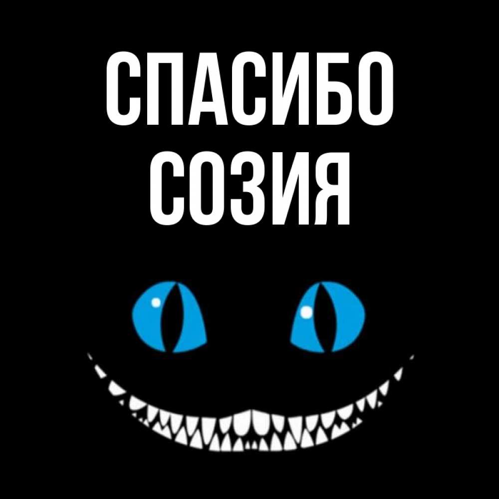 Открытка на каждый день с именем, Созия Спасибо благодарю от чеширика Прикольная открытка с пожеланием онлайн скачать бесплатно 