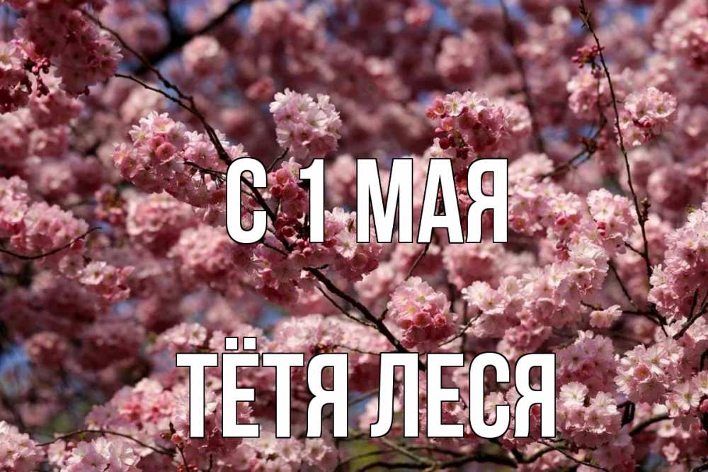 Открытка на каждый день с именем, Тётя-Леся С 1 мая С 1 мая Прикольная открытка с пожеланием онлайн скачать бесплатно 