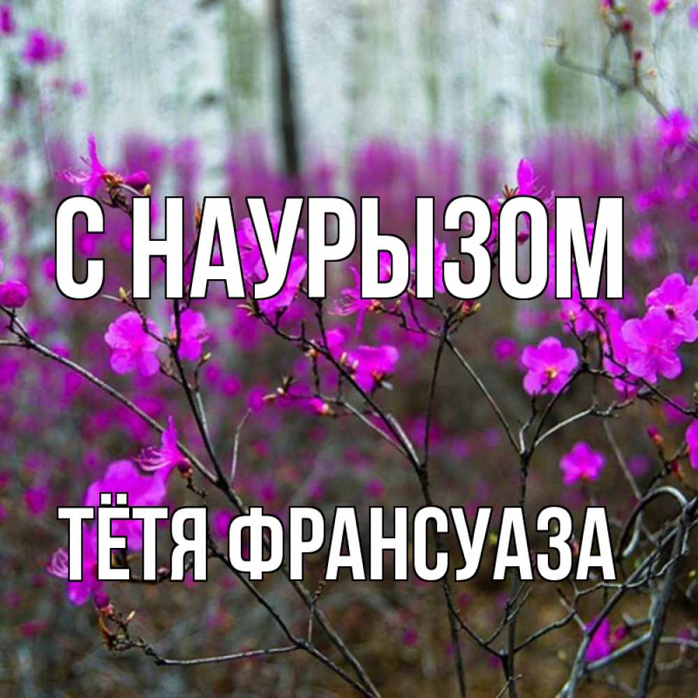 Открытка на каждый день с именем, Тётя-Франсуаза С наурызом дикие цветы Прикольная открытка с пожеланием онлайн скачать бесплатно 