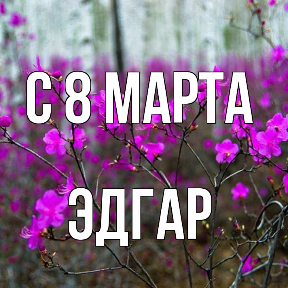 Открытка на каждый день с именем, Эдгар С 8 марта дикие цветы Прикольная открытка с пожеланием онлайн скачать бесплатно 
