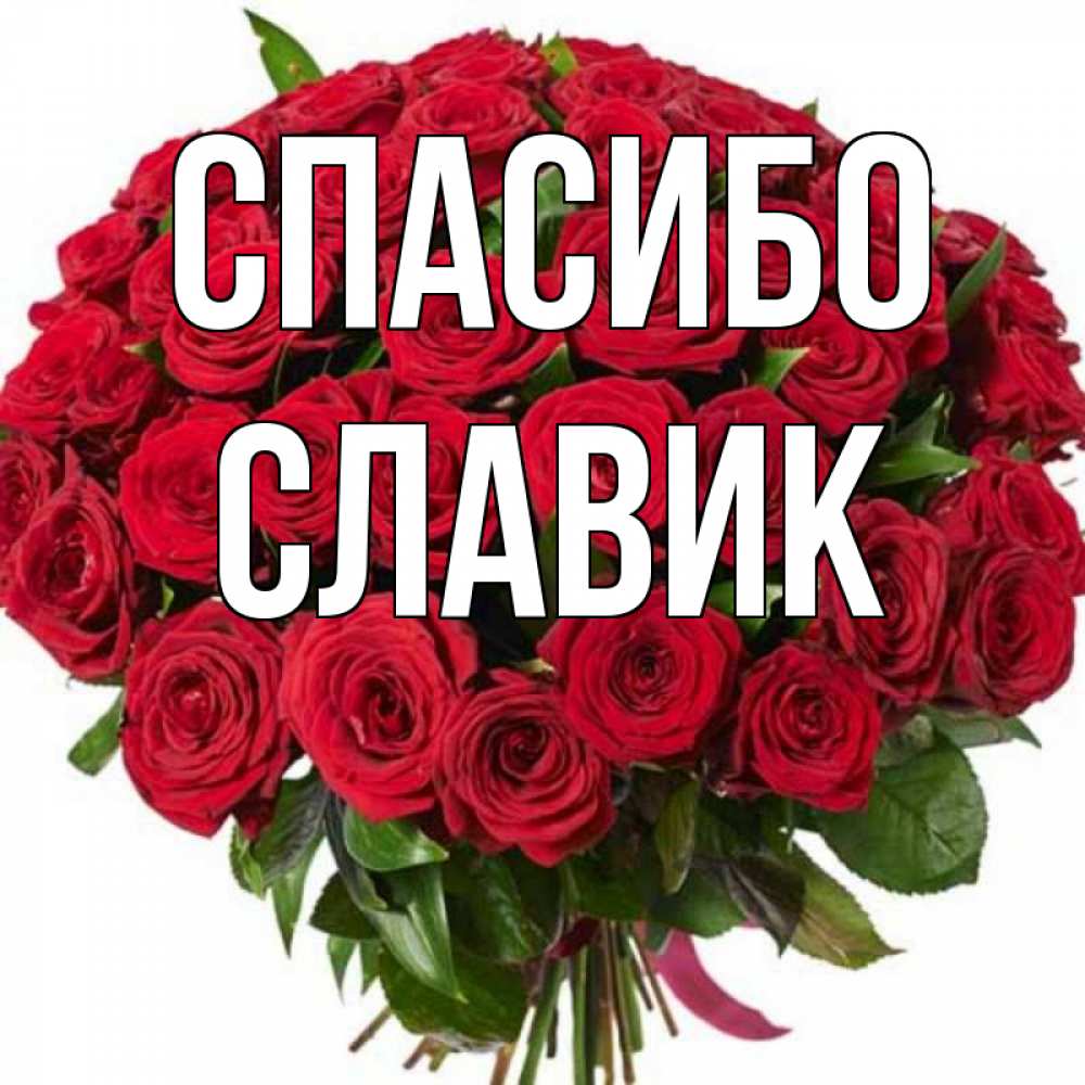 Для анечки картинки