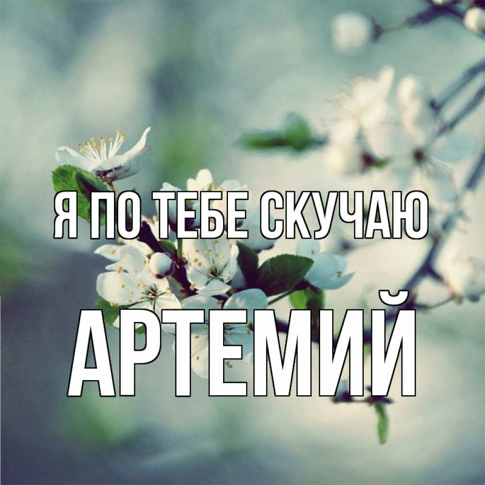 Открытка на каждый день с именем, Артемий Я по тебе скучаю весна Прикольная открытка с пожеланием онлайн скачать бесплатно 