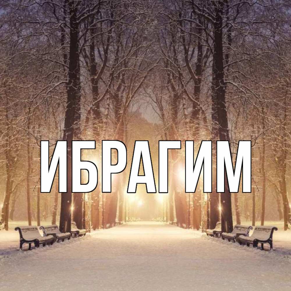 Открытка на каждый день с именем, Ибрагим Главная зима, парк, фонарь, лес Прикольная открытка с пожеланием онлайн скачать бесплатно 